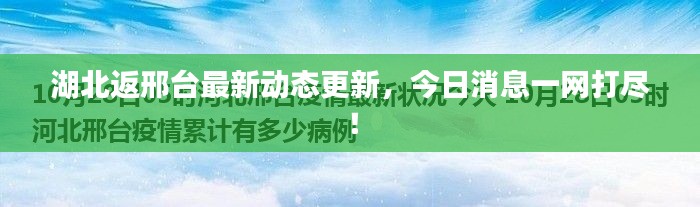 湖北返邢台最新动态更新,今日消息一网打尽!