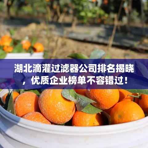 湖北滴灌过滤器公司排名揭晓,优质企业榜单不容错过!