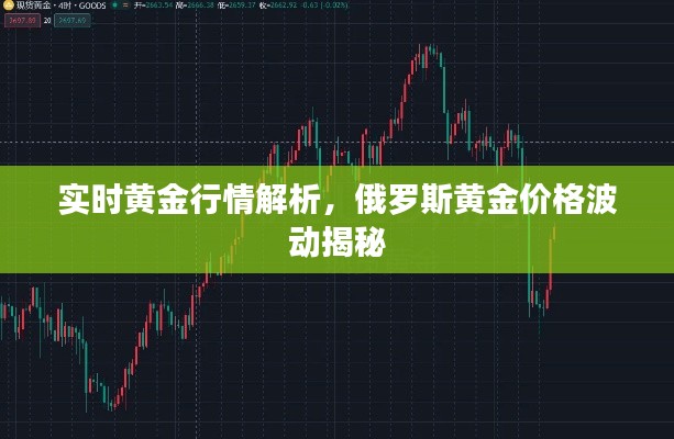 实时黄金行情解析,俄罗斯黄金价格波动揭秘