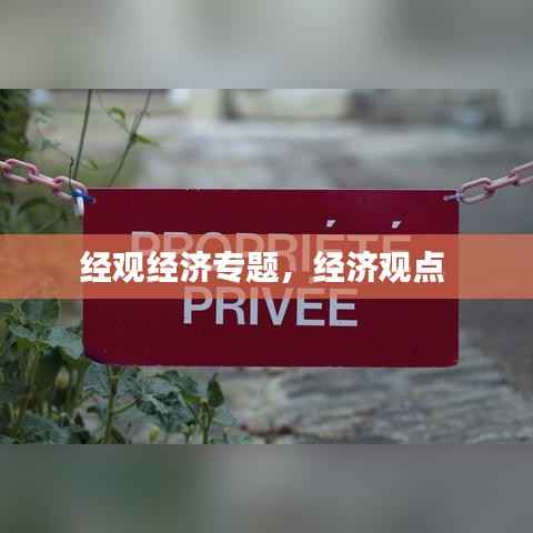 经观经济专题,经济观点