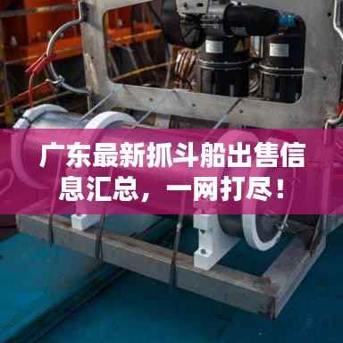 广东最新抓斗船出售信息汇总,一网打尽!