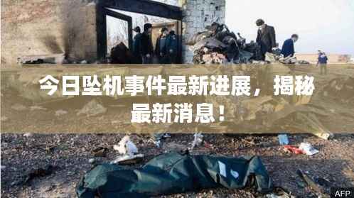 今日坠机事件最新进展,揭秘最新消息!