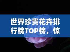七贵三公 第2页