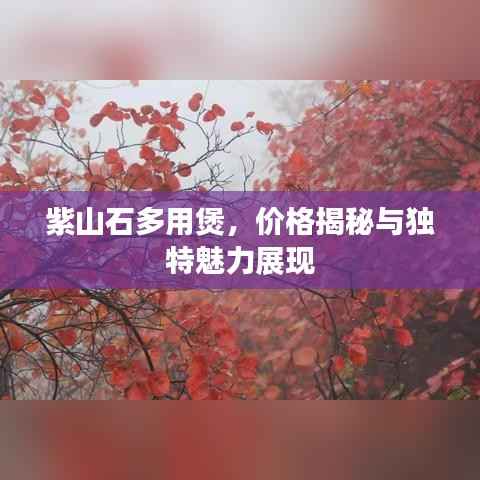 紫山石多用煲,价格揭秘与独特魅力展现