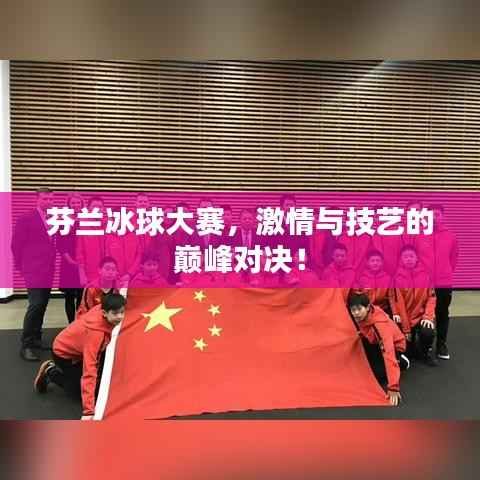 芬兰冰球大赛,激情与技艺的巅峰对决!