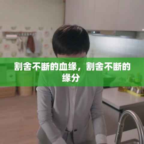 割舍不断的血缘,割舍不断的缘分