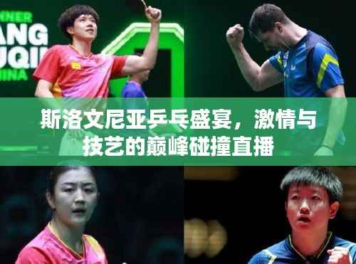 斯洛文尼亚乒乓盛宴,激情与技艺的巅峰碰撞直播