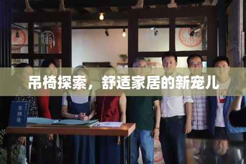 吊椅探索,舒适家居的新宠儿