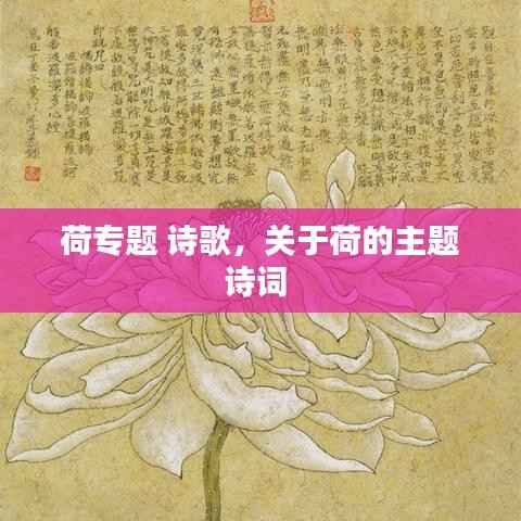 荷专题 诗歌,关于荷的主题诗词