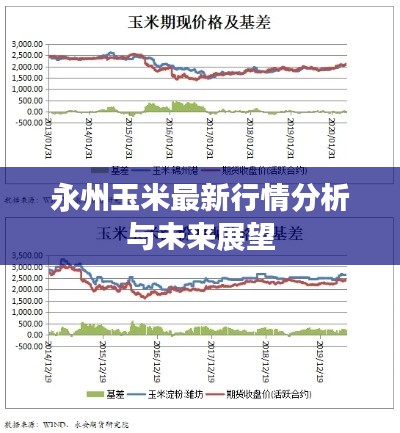 永州玉米最新行情分析与未来展望