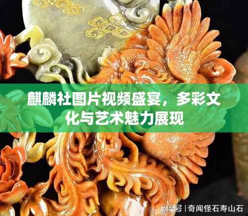 麒麟社图片视频盛宴,多彩文化与艺术魅力展现