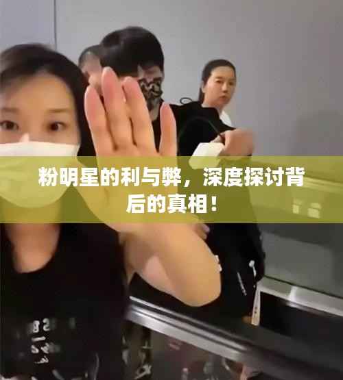 粉明星的利与弊,深度探讨背后的真相!