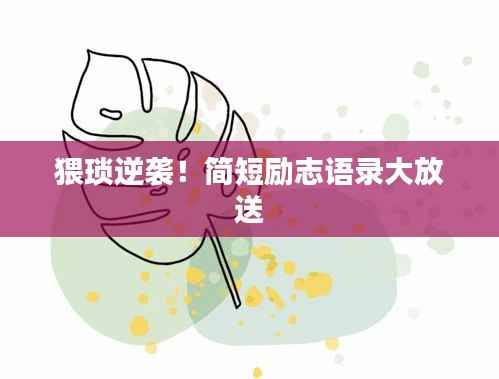 猥琐逆袭!简短励志语录大放送