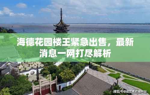 海德花园楼王紧急出售，最新消息一网打尽解析