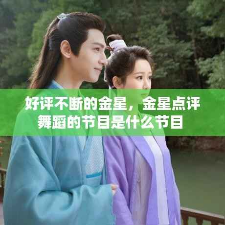 好评不断的金星,金星点评舞蹈的节目是什么节目