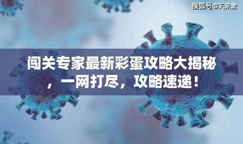 闯关专家最新彩蛋攻略大揭秘,一网打尽,攻略速递!