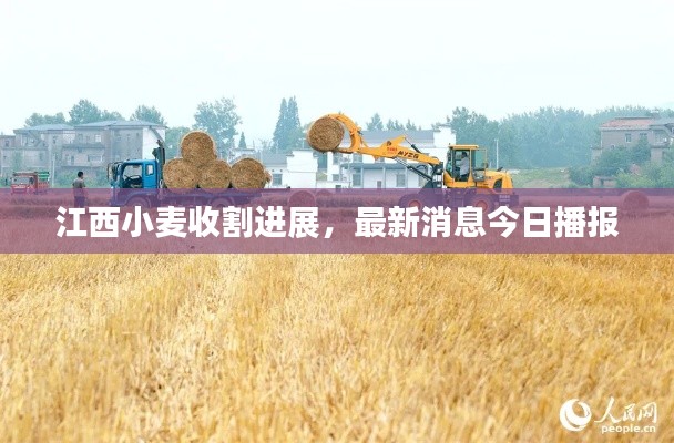 犯而不校 第2页