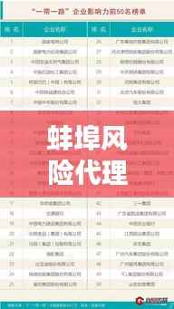 蚌埠风险代理公司排名揭秘,行业深度分析与评估