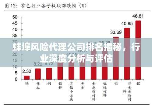 蚌埠风险代理公司排名揭秘,行业深度分析与评估