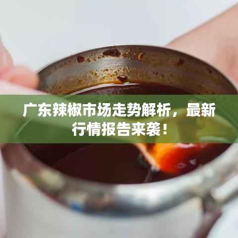 广东辣椒市场走势解析,最新行情报告来袭!