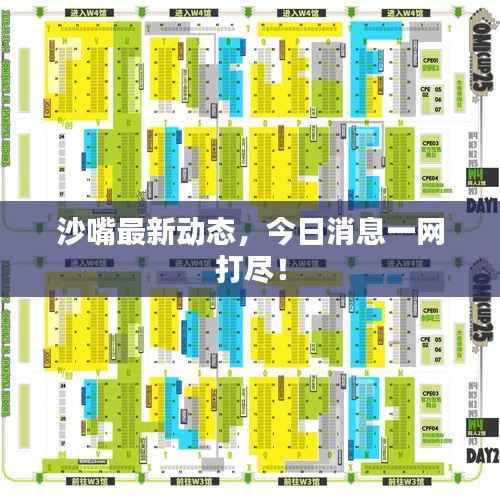 沙嘴最新动态,今日消息一网打尽!