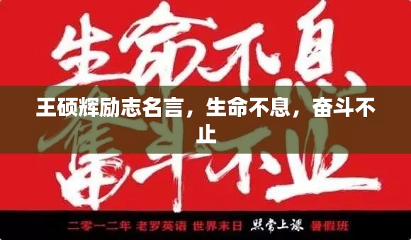 王硕辉励志名言,生命不息,奋斗不止