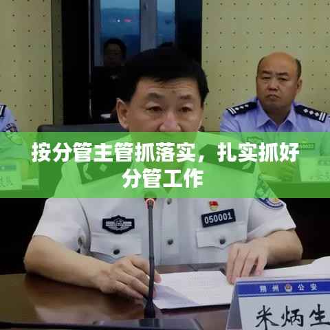 按分管主管抓落实,扎实抓好分管工作