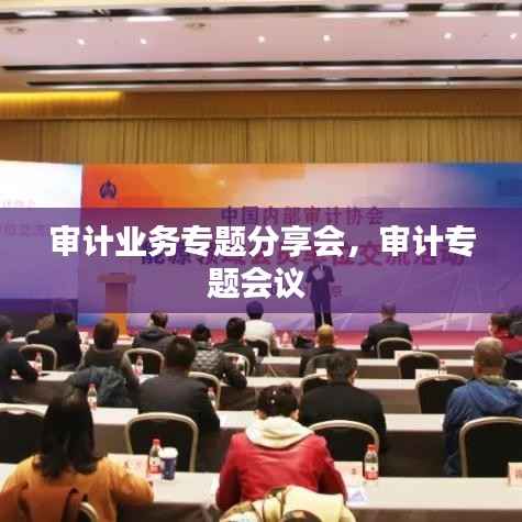 审计业务专题分享会,审计专题会议