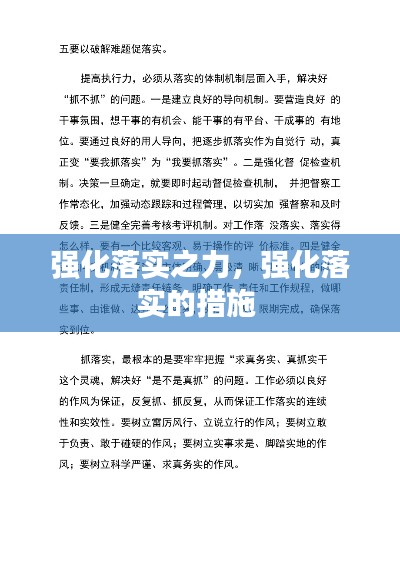 强化落实之力,强化落实的措施