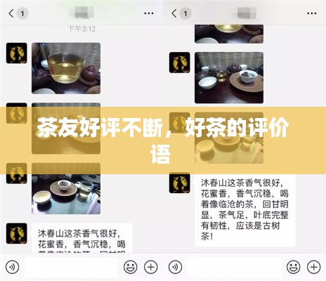 茶友好评不断,好茶的评价语