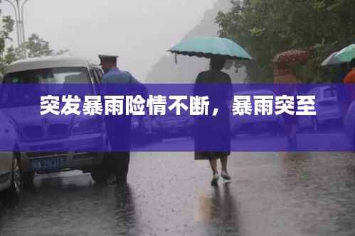 指手画脚 第2页