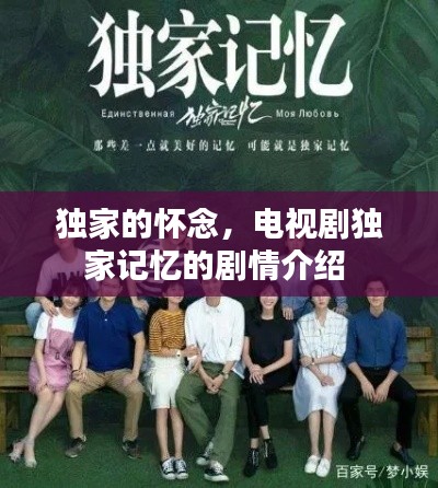 独家的怀念,电视剧独家记忆的剧情介绍