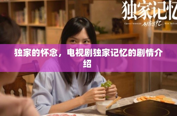 独家的怀念,电视剧独家记忆的剧情介绍