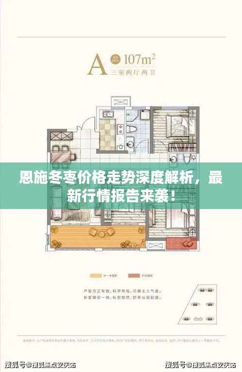 恩施冬枣价格走势深度解析,最新行情报告来袭!