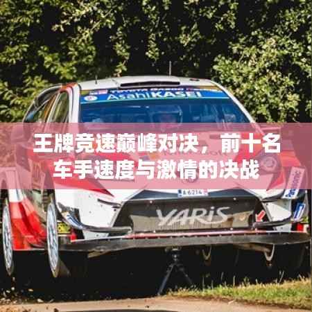 王牌竞速巅峰对决，前十名车手速度与激情的决战