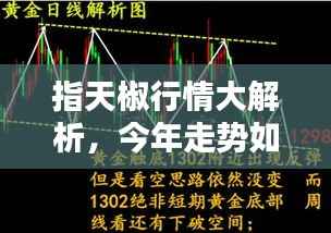 指天椒行情大解析，今年走势如何？