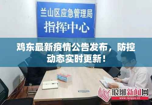 鸡东最新疫情公告发布,防控动态实时更新!