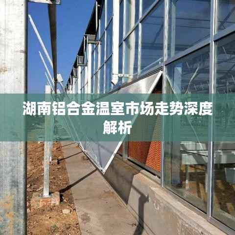 湖南铝合金温室市场走势深度解析