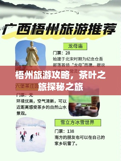 梧州旅游攻略,茶叶之旅探秘之旅
