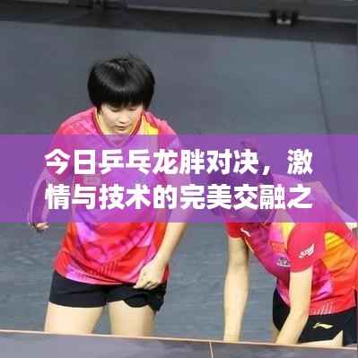 今日乒乓龙胖对决,激情与技术的完美交融之战