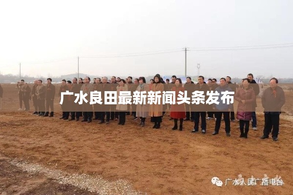 广水良田最新新闻头条发布