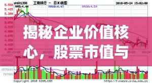 揭秘企业价值核心,股票市值与总资产详解