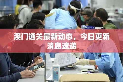 澳门通关最新动态,今日更新消息速递
