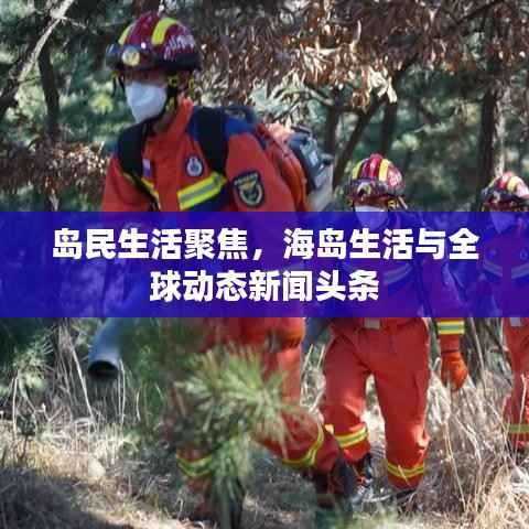 岛民生活聚焦,海岛生活与全球动态新闻头条